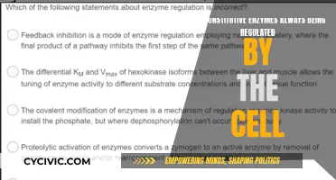 Cell Regulation of Constitutive Enzymes: Always Controlled?