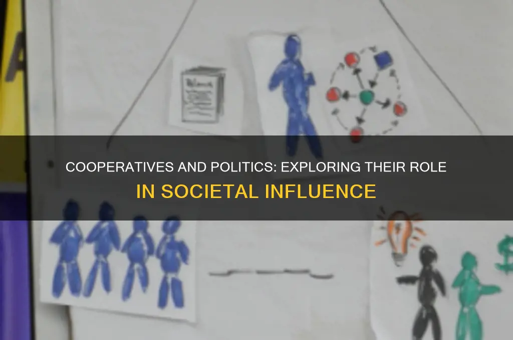 are cooperatices considered political