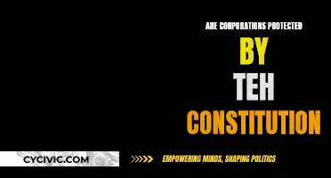 Constitutional Rights: Do Corporations Hold Them?
