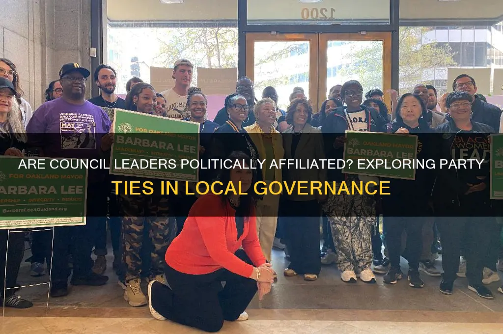 are council leaders affliated to a political party