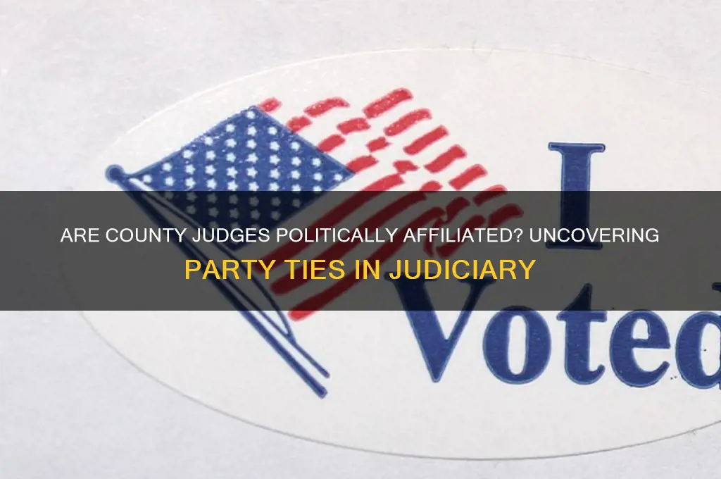 are county judges affiliated with a political party