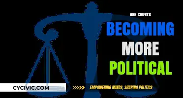 Are Courts Losing Impartiality? The Growing Political Influence on Judiciary