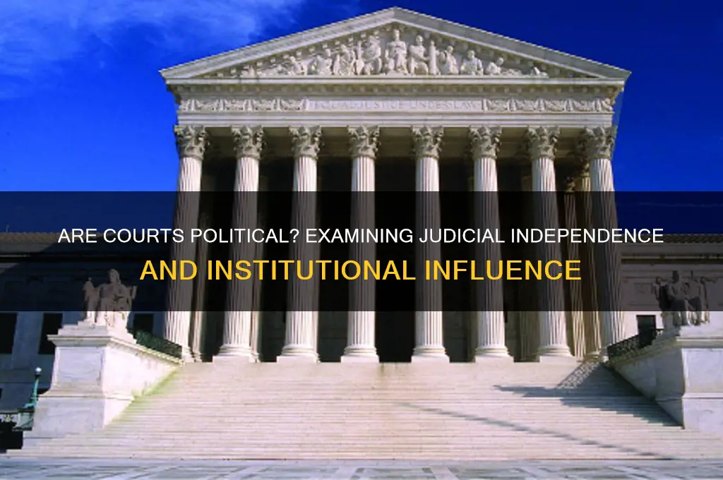 are courts political institutions