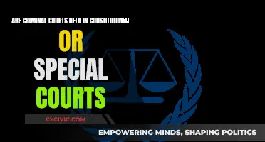 Criminal Court Jurisdiction: Constitutional or Special?