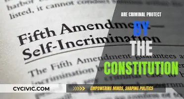 Criminal Rights: Constitutional Protections and Their Limits