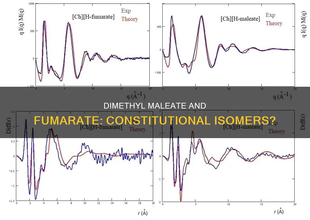 are dimethyl maleate and dimethyl fumarate constitutional isomers