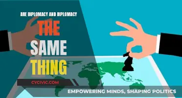 Exploring the Nuances of Diplomacy and International Relations