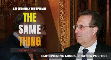 Diplomacy and Diplomats: Two Sides of the Same Coin?