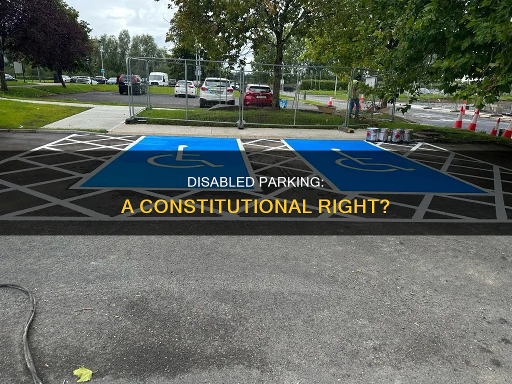 are disabled parking spaces protected by the constitution
