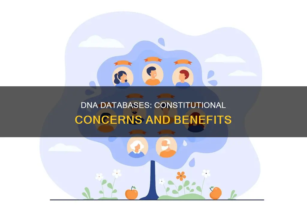 are dna databases a good idea are there constitutional concerns
