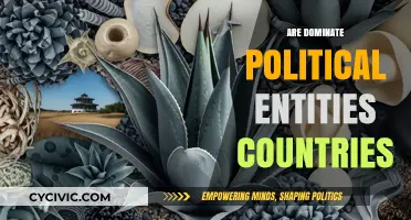 Are Dominant Political Entities Truly Equivalent to Sovereign Countries?