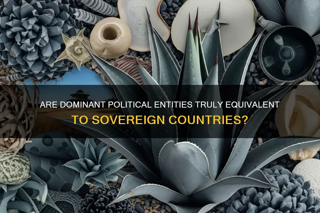 are dominate political entities countries