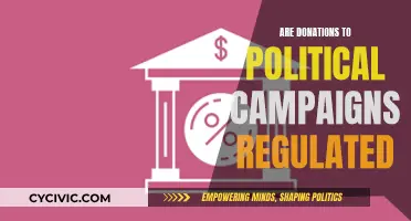 Political Campaign Donations: Are They Regulated?