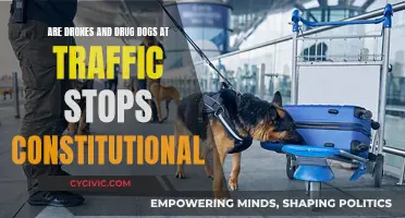 Drones, Drug Dogs, and Traffic Stops: What's Constitutional?
