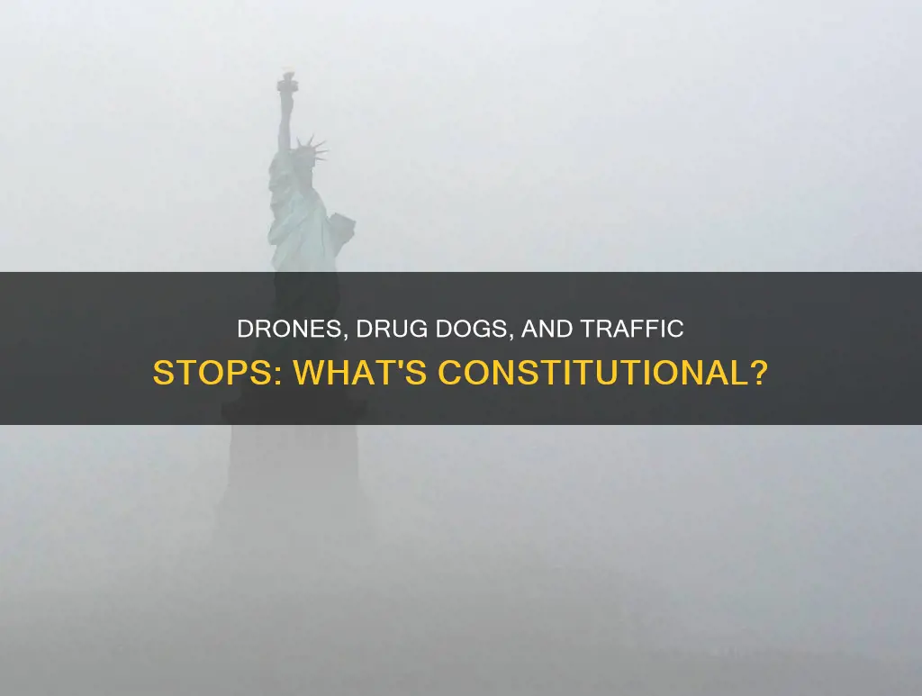 are drones and drug dogs at traffic stops constitutional