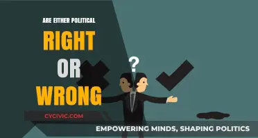 Navigating the Gray Areas: Political Right vs. Wrong Dilemmas