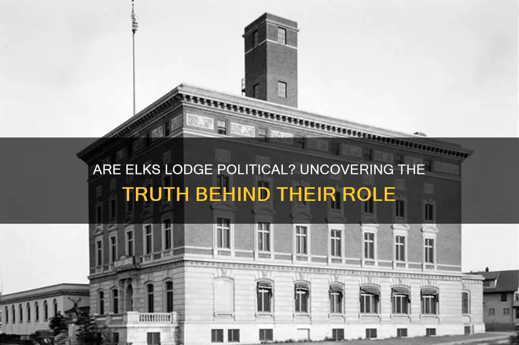 are elks lodge political