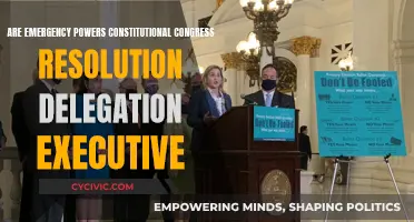 Emergency Powers: Congress, Constitution, and Executive Authority