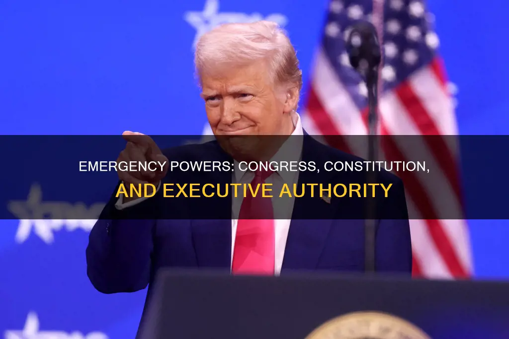 are emergency powers constitutional congress resolution delegation executive