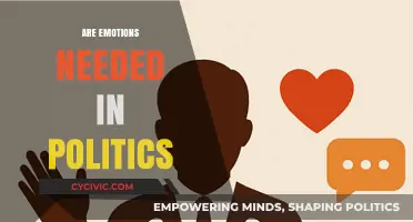 Emotions in Politics: Essential Tool or Dangerous Distraction?
