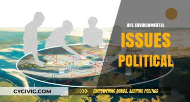 Environmental Issues: A Political Battleground or Global Responsibility?