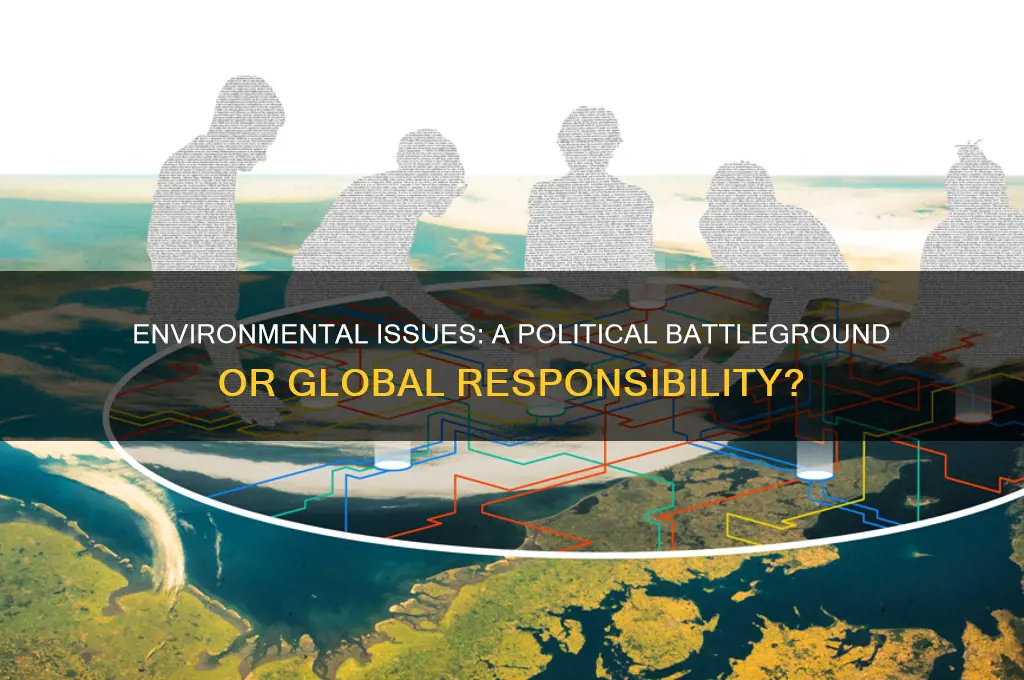 are environmental issues political