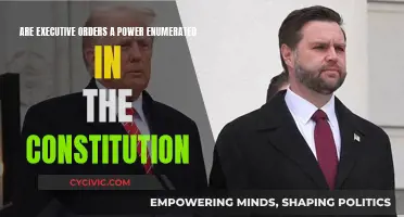 Executive Orders: Constitutional Power or Overreach?