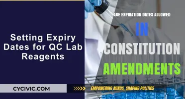 Constitutional Amendments: Can Expiry Dates Be Legally Binding?