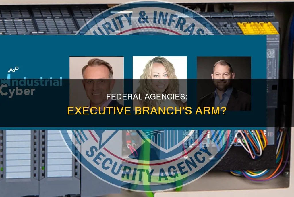 are federal agencies part of the executive branch