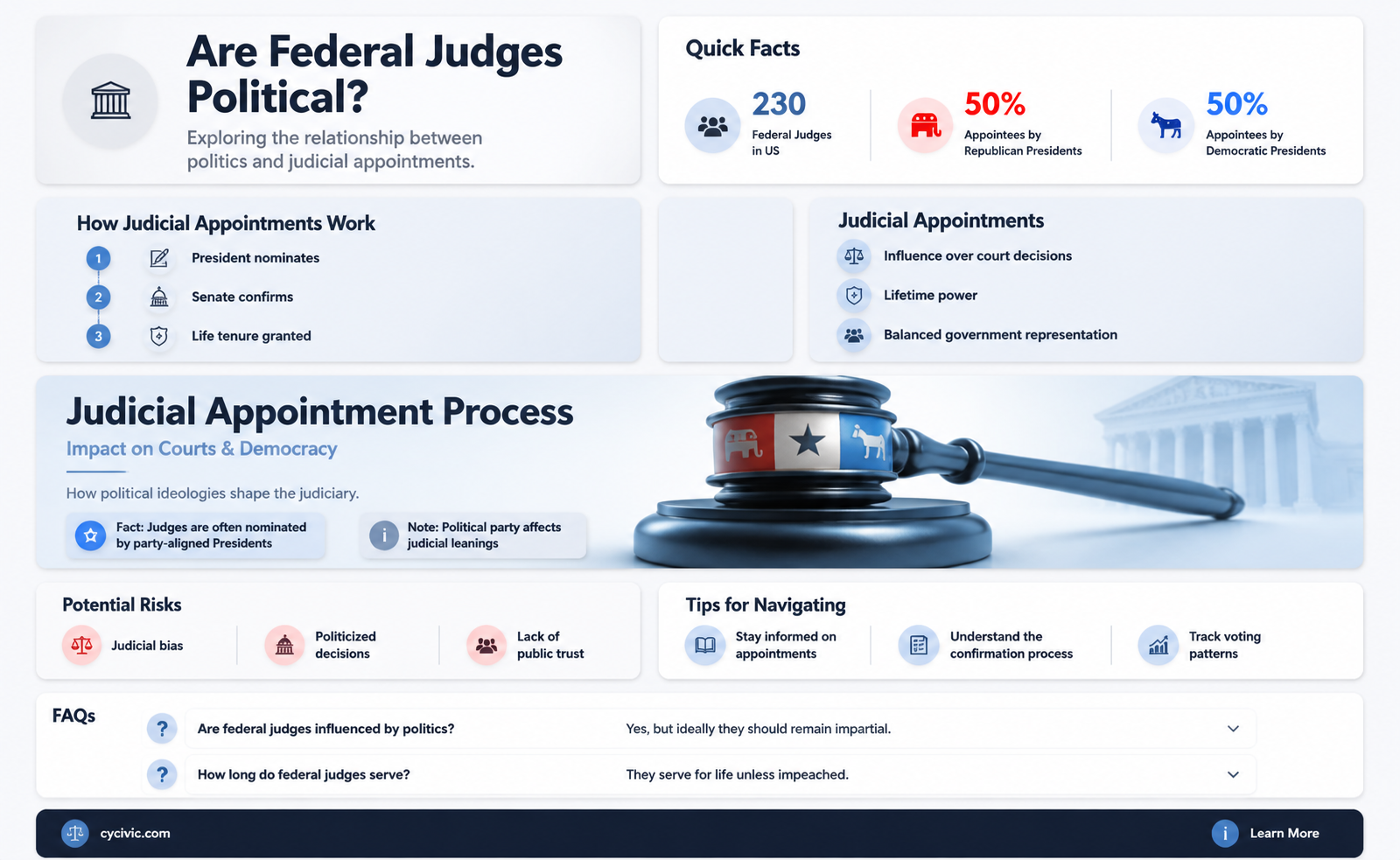 are federal judges political