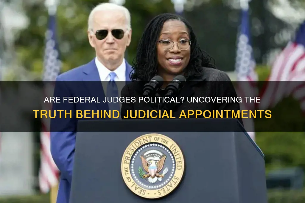 are federal judges political