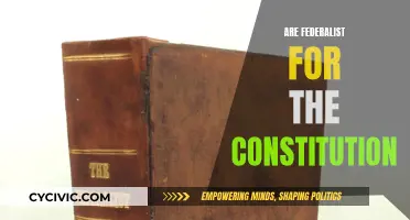 Federalists: Constitution's Guardians or Manipulative Opportunists?