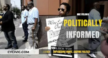 Felons' Political Awareness: Informed Citizens or Disenfranchised Voices?