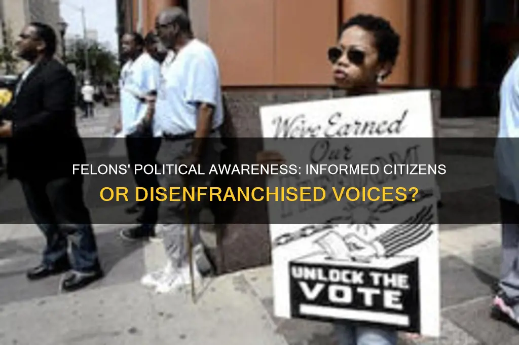 are felons politically informed