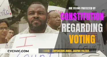 Felons' Voting Rights: Constitutional Protection or State Decision?