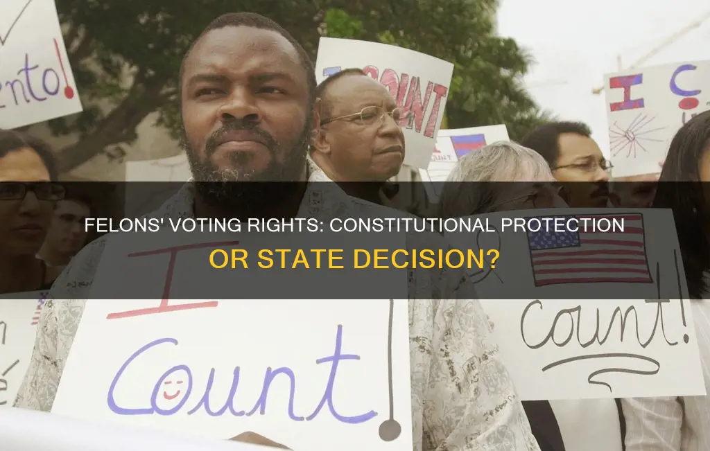 are felons protected by constitution regarding voting