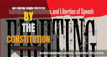 Fighting Words: Are They Protected Speech Under the Constitution?