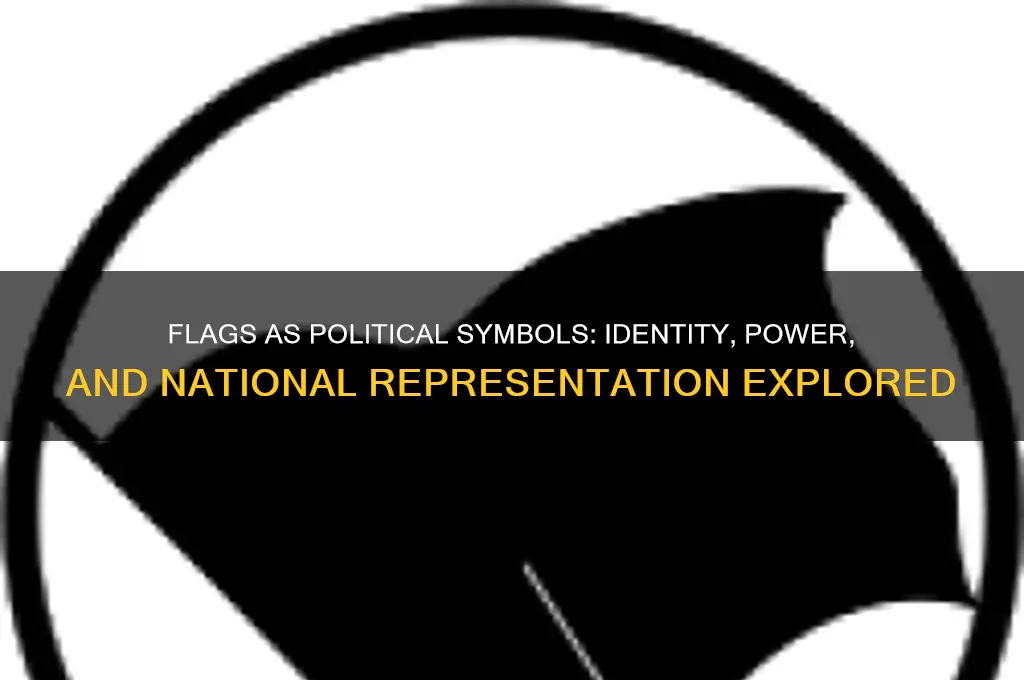 are flags political symbols