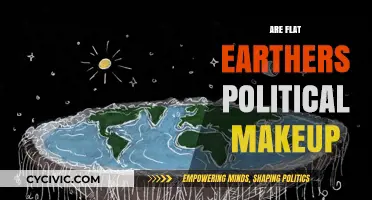Flat Earth Beliefs: Unraveling Political Affiliations and Motivations