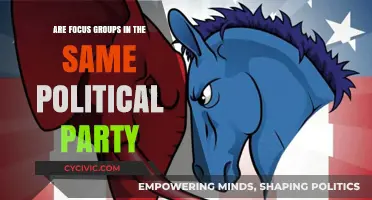 Do Focus Groups Within the Same Political Party Share Unified Views?