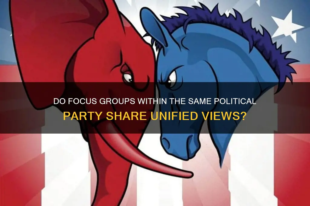 are focus groups in the same political party