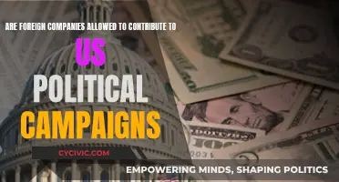 Foreign Money in US Politics: Legal?