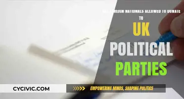 Can Foreign Nationals Legally Donate to UK Political Parties?
