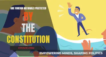 Foreign Nationals: Constitutional Rights and Protections?