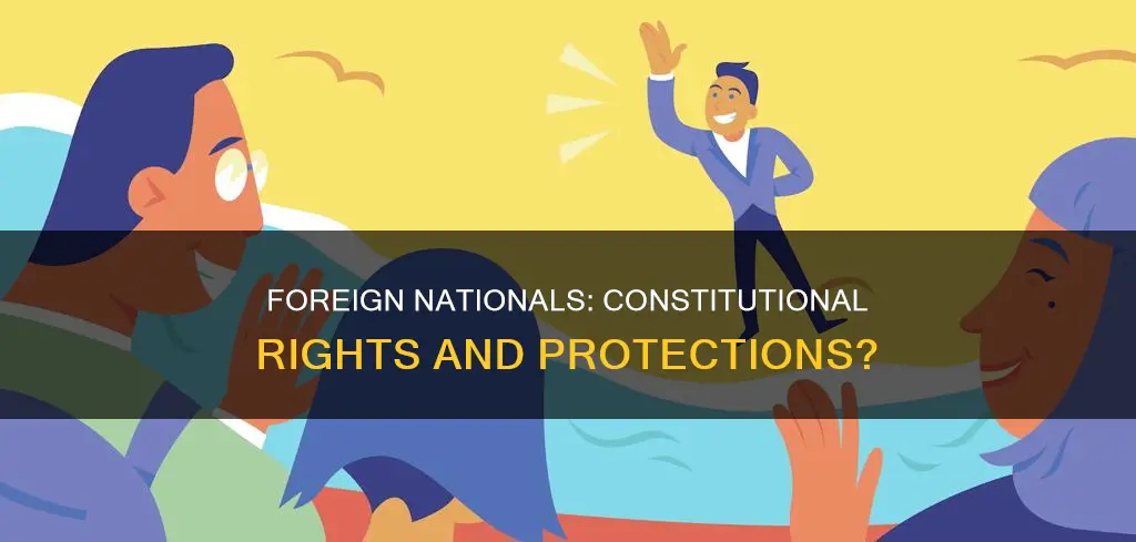 are foreign nationals protected by the constitution