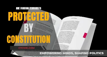 Foreign Terrorists: Constitutional Protection or Legal Loophole?