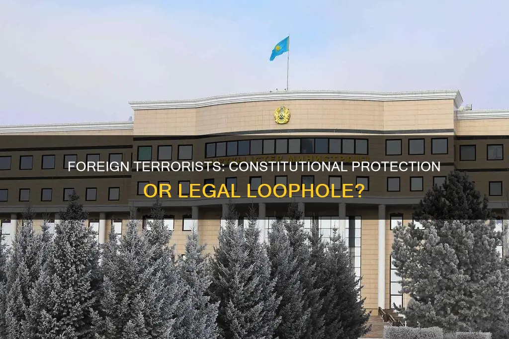 are foreign terrorists protected by constitution