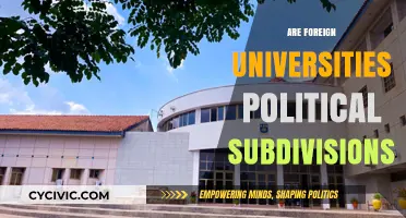 Are Foreign Universities Political Subdivisions? Exploring Legal and Academic Boundaries