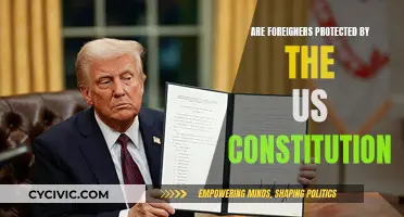 Foreign Nationals: US Constitution Protections and Their Limits
