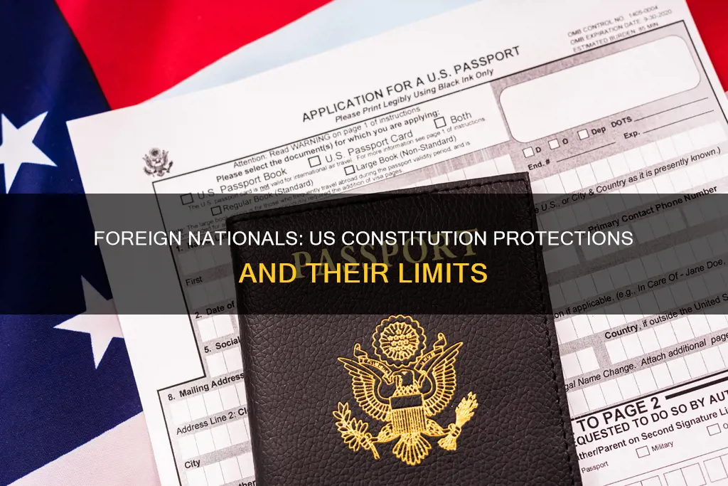 are foreigners protected by the us constitution